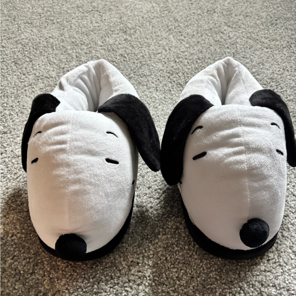Boys Size 5 Snoopy Slippers.